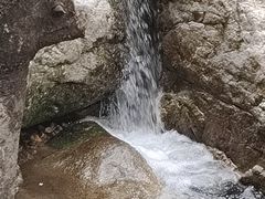 -王顺山国家森林公园