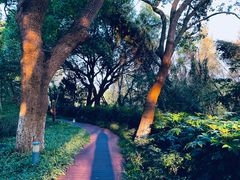 -上海市保健医疗中心