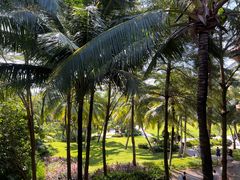 -海南清水湾莱佛士酒店