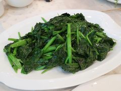 清炒芥兰-四海之家(蛇口店)