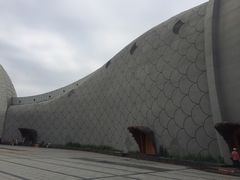 -泗洪洪泽湖湿地景区
