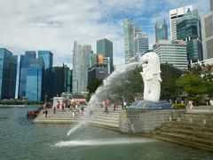 -新加坡瑞士史丹福酒店