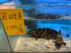 -虾饺妹·酒家(海珠广场店)