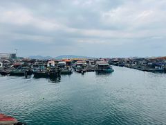-蓝湾碧波·老字号·疍家非遗海上餐厅