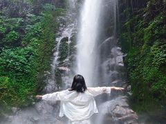 -莫里热带雨林景区