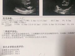 -北京赛佳动物医院