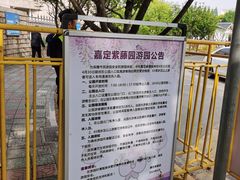 -嘉定紫藤园