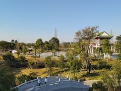 -王借岗森林公园