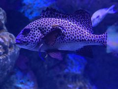 -成都浩海立方海洋公园