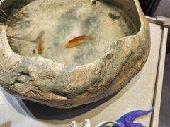 -小豆海棠(嘉兴路店)