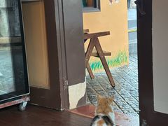 -猫岛主趣味餐厅(鼓浪屿店)