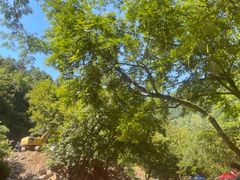 -雅鲁激流探险漂流