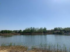 -大兴滨河森林公园