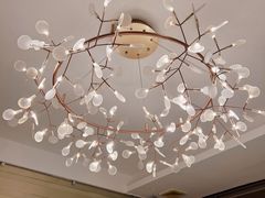 -侨美·唐荔园·40年地道粤菜