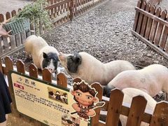 -桑干河大峡谷旅游区