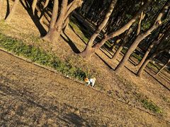 -美兰湖景区