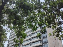 -广东花都湖国家湿地公园