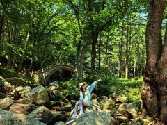 -洛阳白云山景区