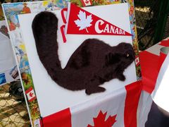 -上海德威外籍人员子女学校(浦东校区)