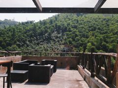 -看见远方·莫干遥远的山民宿