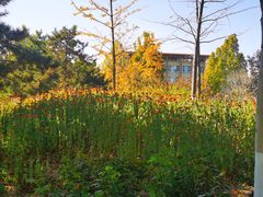 -北京西国贸大酒店