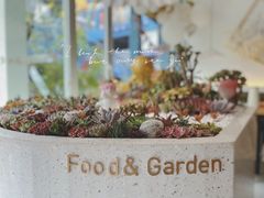 -春树下·树屋花房西餐厅(罍街AS1980店)