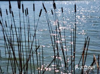 冬日阳光暖，独坐钓鱼台: 若心胸狭隘，则坐拥天下仍觉