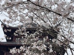 -堤角公园