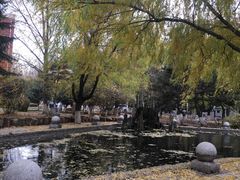 -长春市十一高中