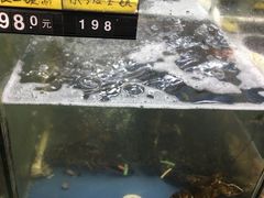 水产区-明记海鲜大排档(巽寮湾店)