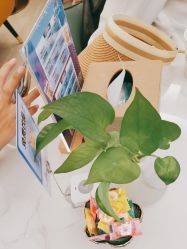 点击看大图 -天津伊美尔医疗整形美容专科医院