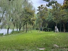 -华东政法大学(松江校区)