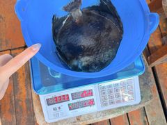 -蓝湾碧波·老字号·疍家非遗海上餐厅