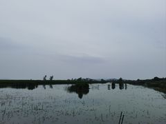 -苏州香山国际大酒店