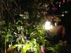 -Dash Teak House
