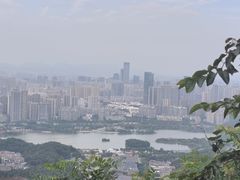 -茶颜悦色(岳麓山顶店)