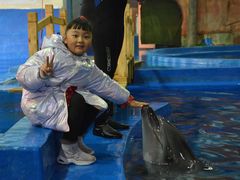 -华夏文旅海洋公园