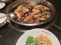 -花鲢鱼头火锅(春城东路店)