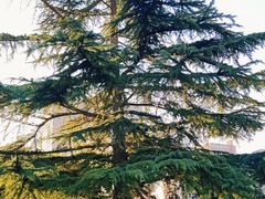 -西安创业咖啡街区