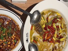 -太二酸菜鱼(武汉光谷保利店)