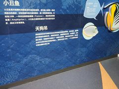 -贝林大翅鲸简餐厅(国家海洋博物馆店)