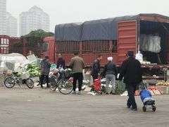 -何庄子阿米玛玛农产品批发市场