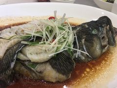 石斑鱼-上和臻品中国菜(花园街店)