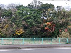 -伊王岛温泉