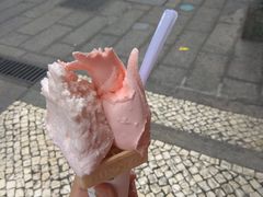 红番石榴-柠檬车露(卖草地店)