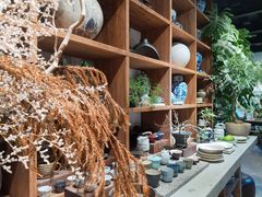 -自由生长植物工作室(深港花卉中心店)