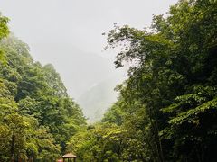-西岭雪山大飞水景区