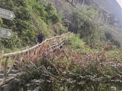 -修水东浒寨风景区