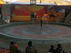 -石家庄市动物园