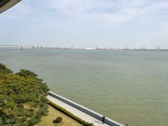 -大湾区中央湿地公园